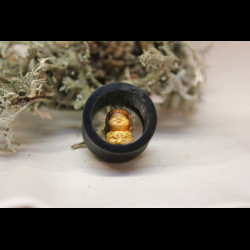 Plug Bouddha 10-80mm