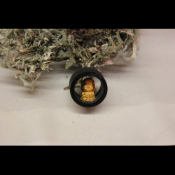 Plug Bouddha 10-80mm