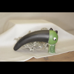 Taper Dinosaure 10-40mm