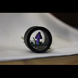 Plug Magic Mushroom 16-80mm