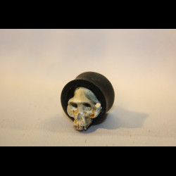 Plug Crâne d'australopithèque 12-80mm