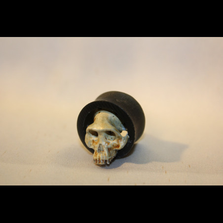 Plug Crâne d'australopithèque 12-80mm