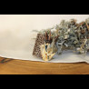 Perle crâne de dragon pour dreadlocks