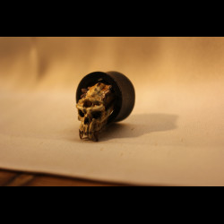 Plug Crâne de troll 12-80mm