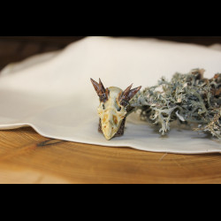 Perle crâne de dragon pour dreadlocks